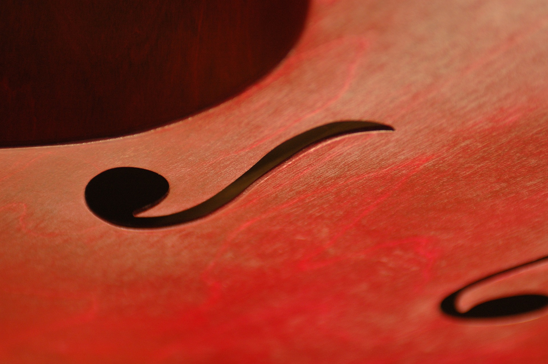 up close photo of violin