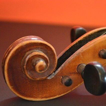 up close photo of head of violin
