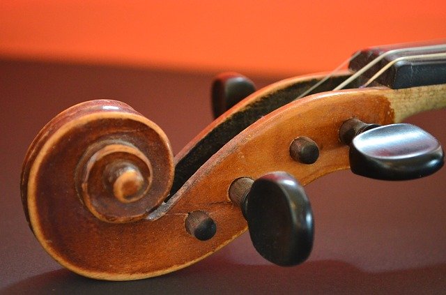 up close photo of head of violin